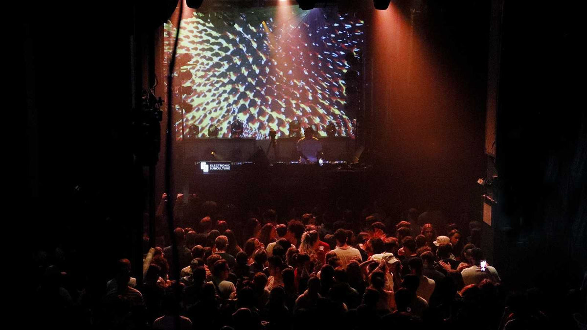 Electronic Subculture stage and crowd